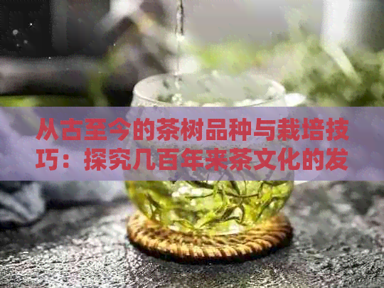 从古至今的茶树品种与栽培技巧：探究几百年来茶文化的发展与变迁