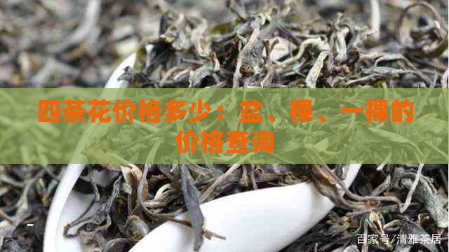 四茶花价格多少：盆、棵、一棵的价格查询