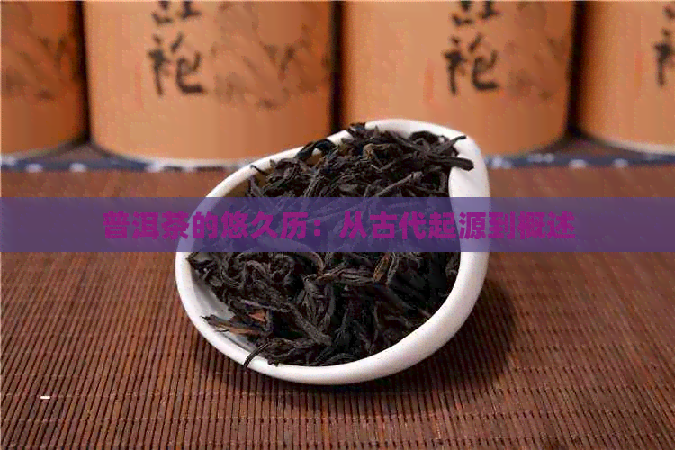 普洱茶的悠久历：从古代起源到概述