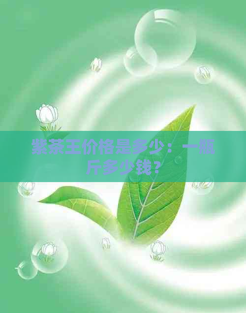 紫茶王价格是多少：一瓶斤多少钱？