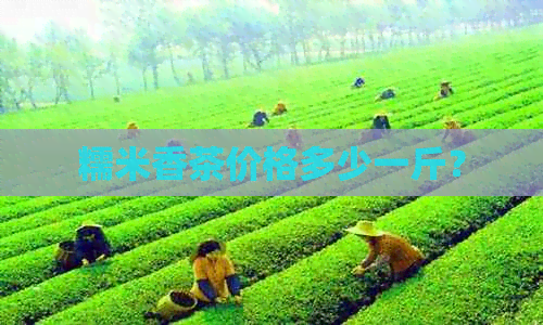 糯米香茶价格多少一斤？