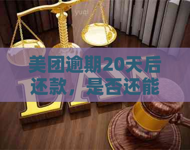 美团逾期20天后还款，是否还能再次借款？