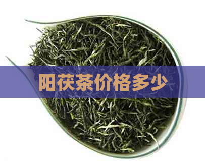 阳茯茶价格多少