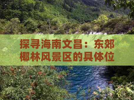 探寻海南文昌：东郊椰林风景区的具     置指南