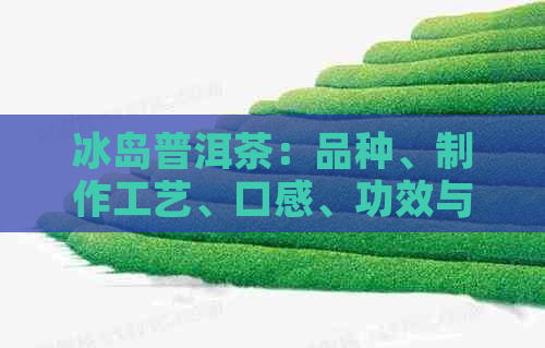 冰岛普洱茶：品种、制作工艺、口感、功效与品鉴全解析