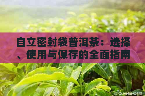 自立密封袋普洱茶：选择、使用与保存的全面指南