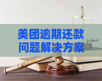 美团逾期还款问题解决方案及协商探讨