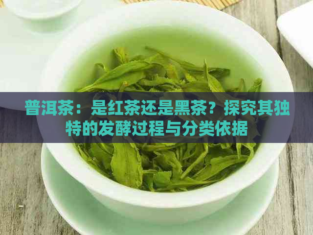 普洱茶：是红茶还是黑茶？探究其独特的发酵过程与分类依据