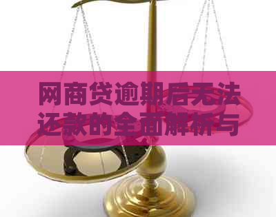 网商贷逾期后无法还款的全面解析与解决方法