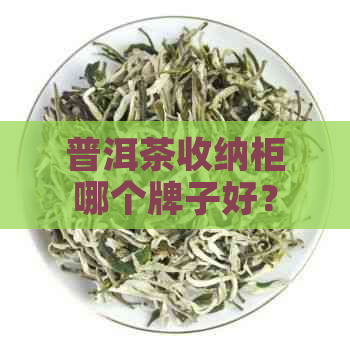 普洱茶收纳柜哪个牌子好？