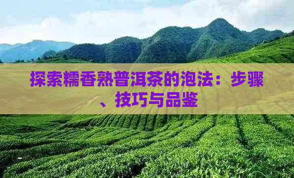 探索糯香熟普洱茶的泡法：步骤、技巧与品鉴