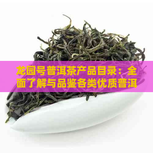 龙园号普洱茶产品目录：全面了解与品鉴各类优质普洱茶的详细信息和购买指南