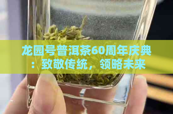 龙园号普洱茶60周年庆典：致敬传统，领略未来