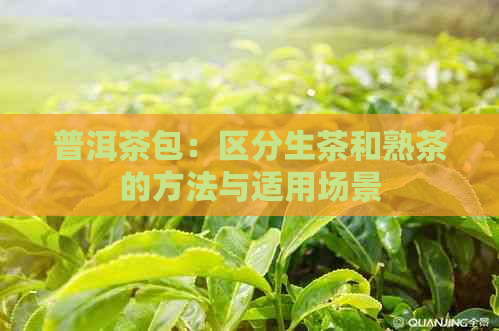 普洱茶包：区分生茶和熟茶的方法与适用场景