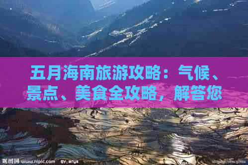 五月海南旅游攻略：气候、景点、美食全攻略，解答您的所有出行疑问