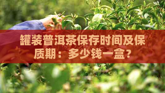 罐装普洱茶保存时间及保质期：多少钱一盒？