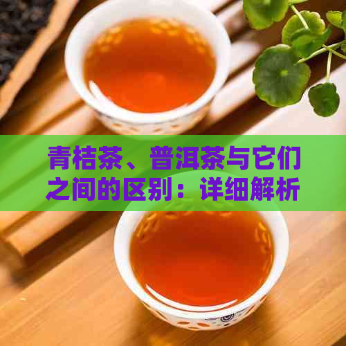 青桔茶、普洱茶与它们之间的区别：详细解析，助您轻松辨别！