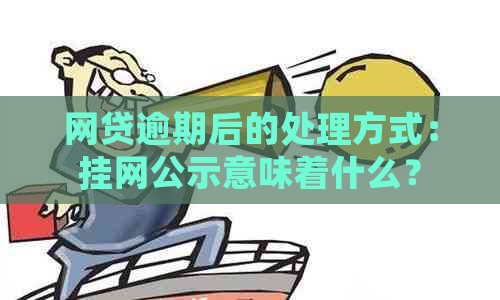 网贷逾期后的处理方式：挂网公示意味着什么？