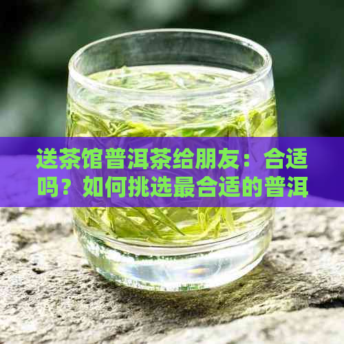 送茶馆普洱茶给朋友：合适吗？如何挑选最合适的普洱茶并送礼？