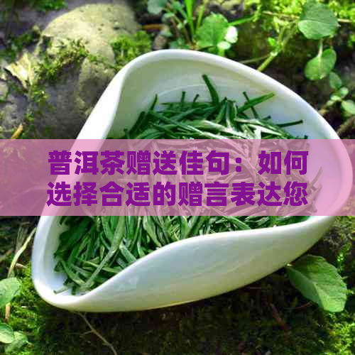 普洱茶赠送佳句：如何选择合适的赠言表达您的心意？