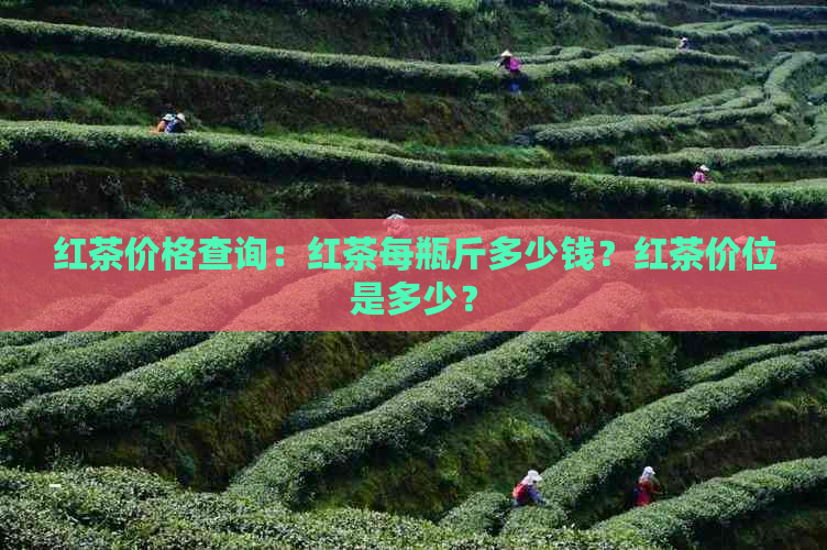 红茶价格查询：红茶每瓶斤多少钱？红茶价位是多少？