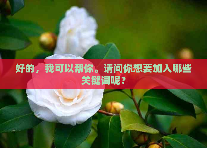 好的，我可以帮你。请问你想要加入哪些关键词呢？