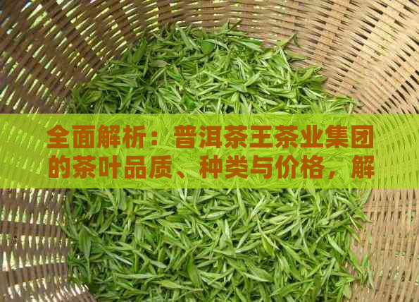 全面解析：普洱茶王茶业集团的茶叶品质、种类与价格，解答用户所有疑问