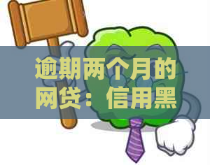 逾期两个月的网贷：信用黑名单与的影响全解析