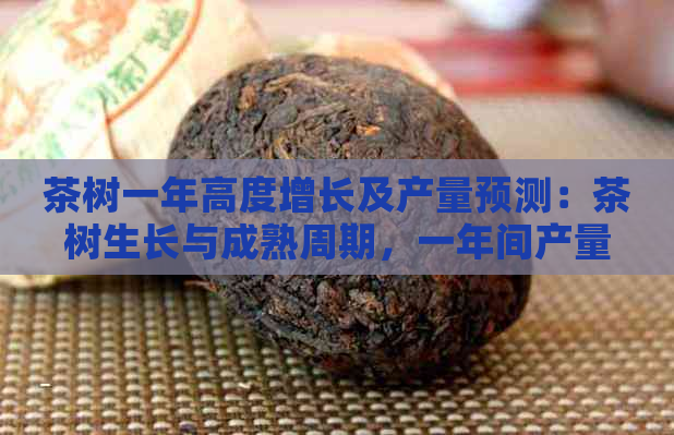 茶树一年高度增长及产量预测：茶树生长与成熟周期，一年间产量预测。