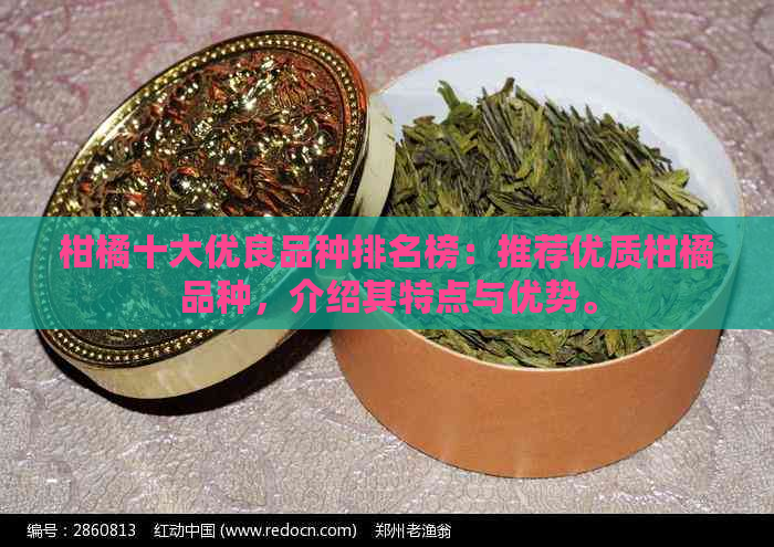 柑橘十大优良品种排名榜：推荐优质柑橘品种，介绍其特点与优势。