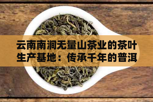 云南南涧无量山茶业的茶叶生产基地：传承千年的普洱茶文化