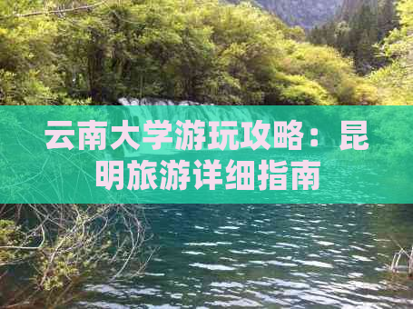 云南大学游玩攻略：昆明旅游详细指南