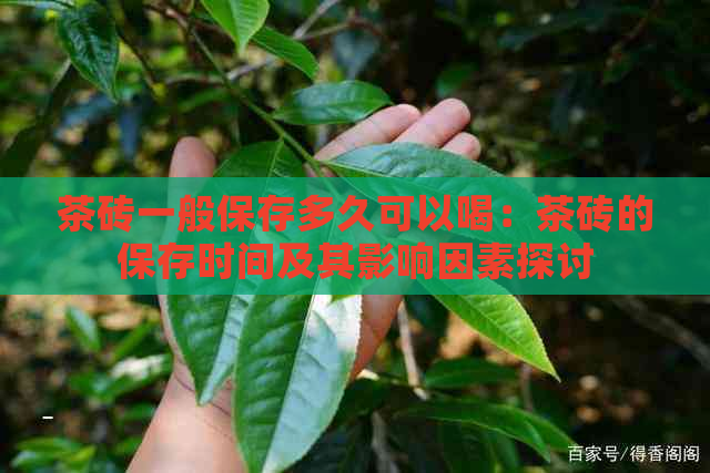 茶砖一般保存多久可以喝：茶砖的保存时间及其影响因素探讨