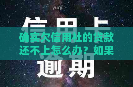 确实欠信用社的贷款还不上怎么办？如果无法按时还款，会有什么影响？