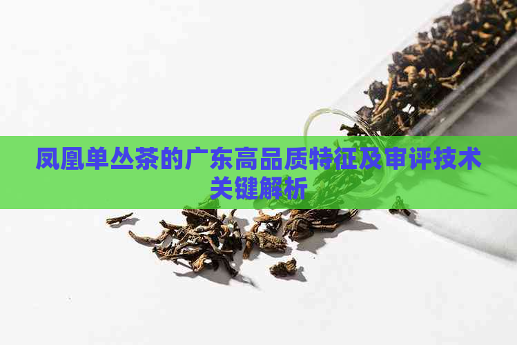 凤凰单丛茶的广东高品质特征及审评技术关键解析