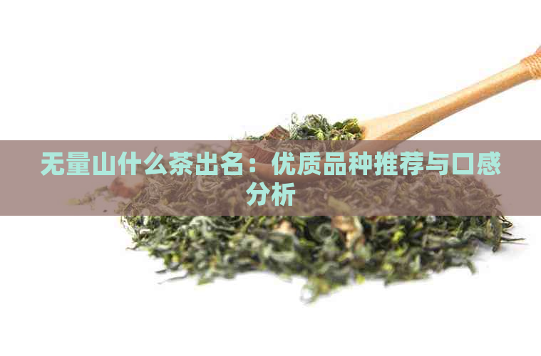 无量山什么茶出名：优质品种推荐与口感分析