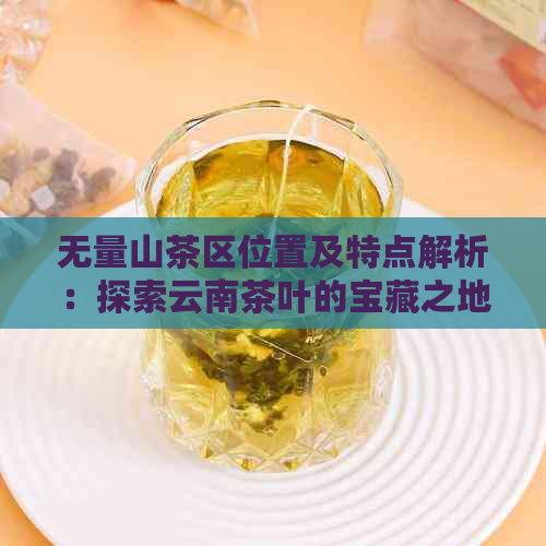 无量山茶区位置及特点解析：探索云南茶叶的宝藏之地