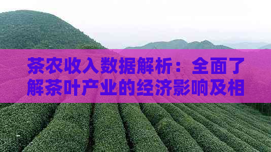 茶农收入数据解析：全面了解茶叶产业的经济影响及相关因素