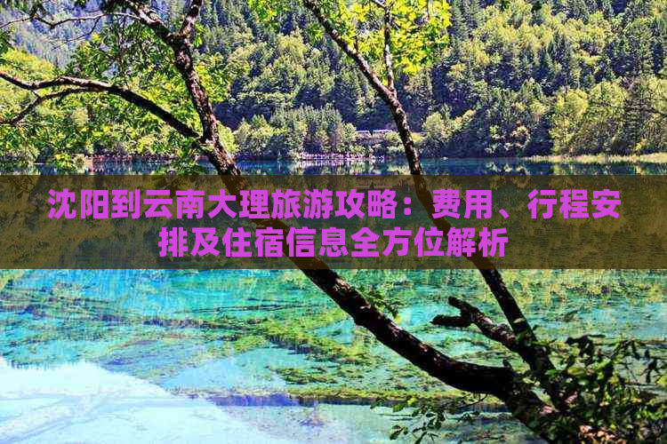 沈阳到云南大理旅游攻略：费用、行程安排及住宿信息全方位解析