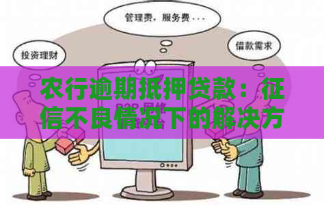 农行逾期抵押贷款：不良情况下的解决方案