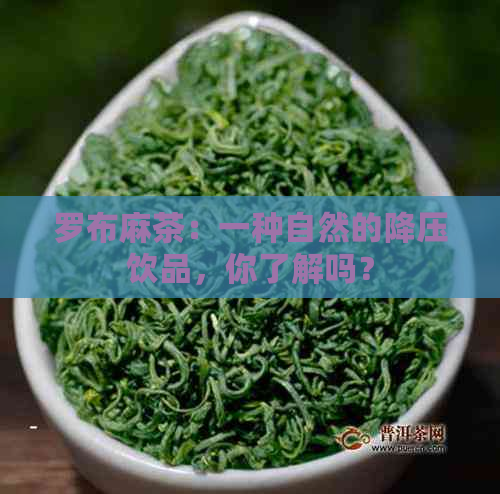 罗布麻茶：一种自然的降压饮品，你了解吗？