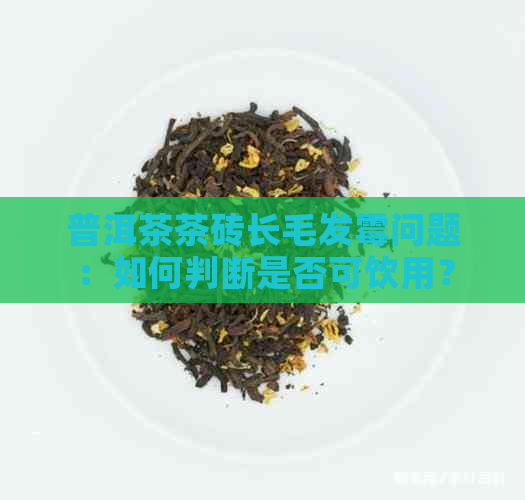 普洱茶茶砖长毛发霉问题：如何判断是否可饮用？