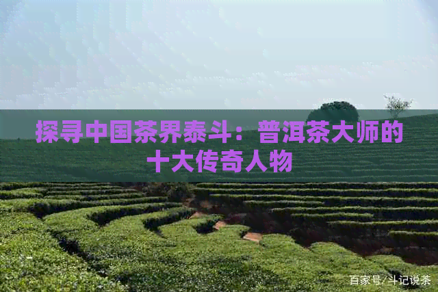 探寻中国茶界泰斗：普洱茶大师的十大传奇人物