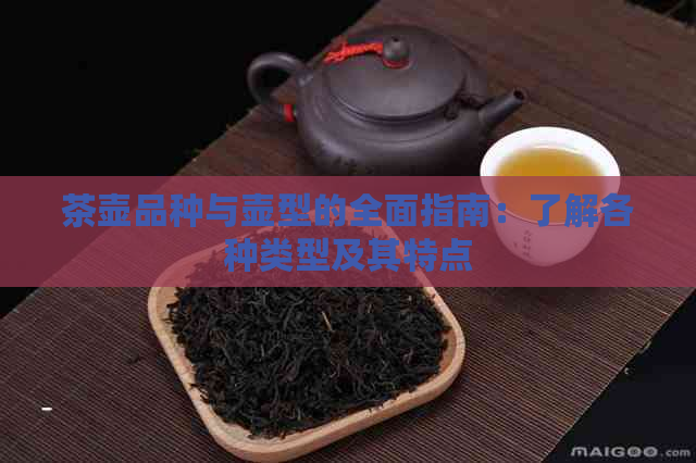 茶壶品种与壶型的全面指南：了解各种类型及其特点