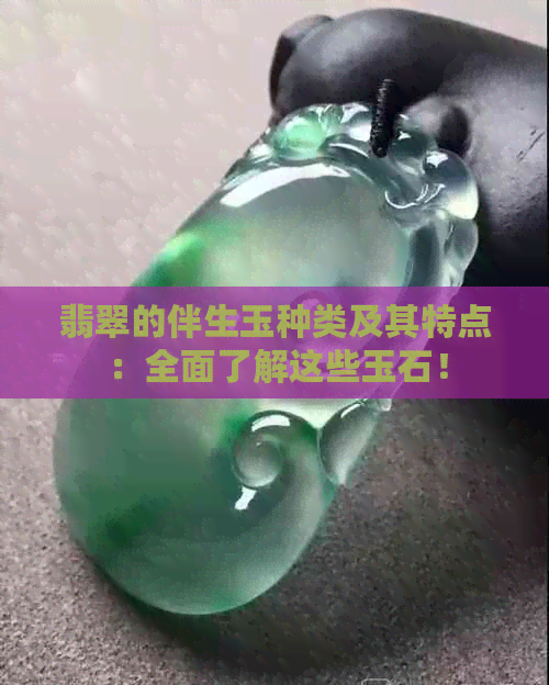 翡翠的伴生玉种类及其特点：全面了解这些玉石！