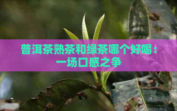 普洱茶熟茶和绿茶哪个好喝：一场口感之争