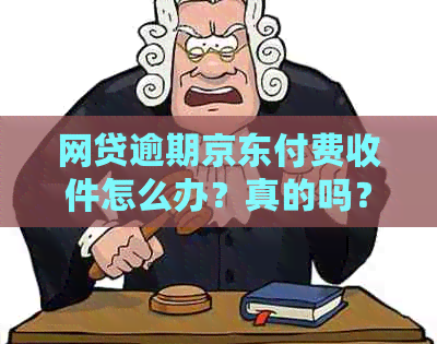 网贷逾期京东付费收件怎么办？真的吗？会怎么样？