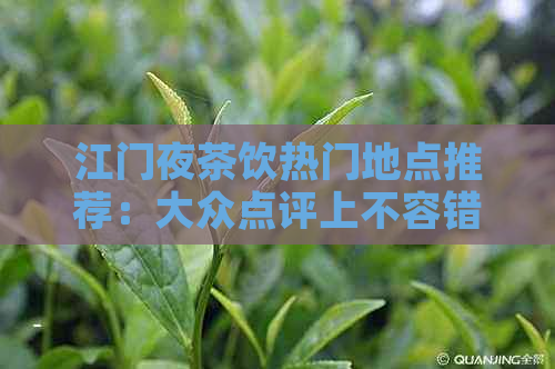 江门夜茶饮热门地点推荐：大众点评上不容错过的茶楼和小吃店