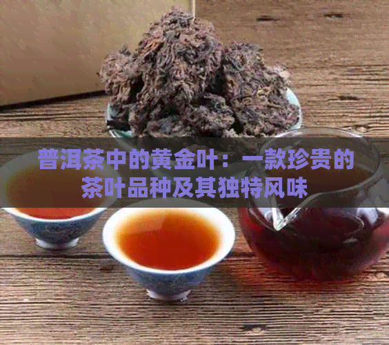 普洱茶中的黄金叶：一款珍贵的茶叶品种及其独特风味