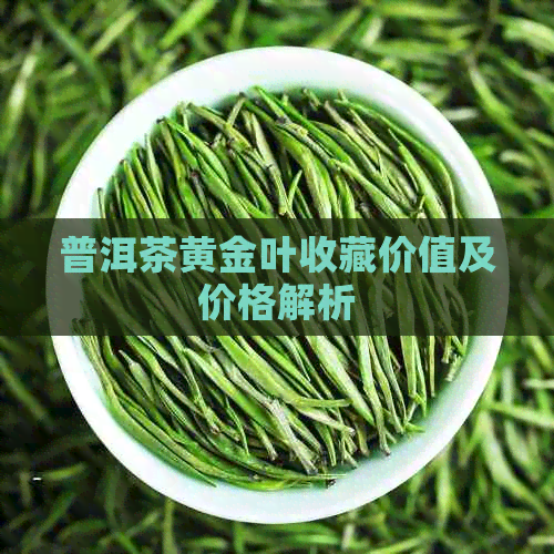 普洱茶黄金叶收藏价值及价格解析